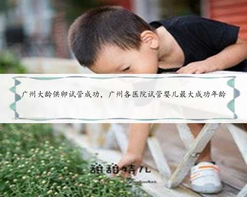 广州大龄供卵试管成功，广州各医院试管婴儿最大成功年龄