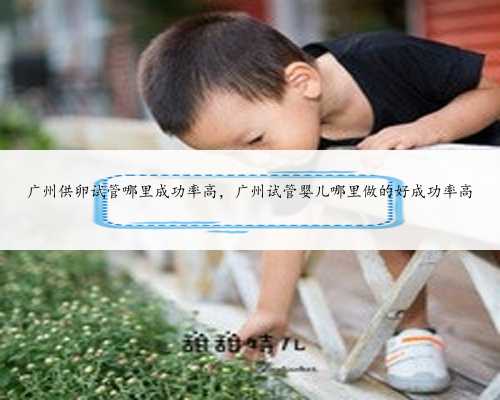 广州供卵试管哪里成功率高，广州试管婴儿哪里做的好成功率高