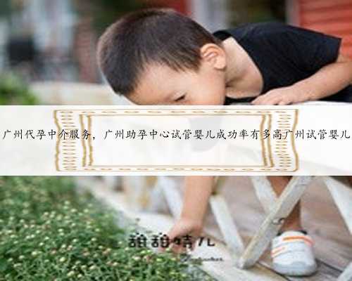 广州代孕中介服务，广州助孕中心试管婴儿成功率有多高广州试管婴儿