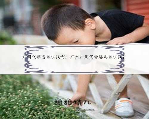 广州代孕需多少钱啊，广州广州试管婴儿多少钱？