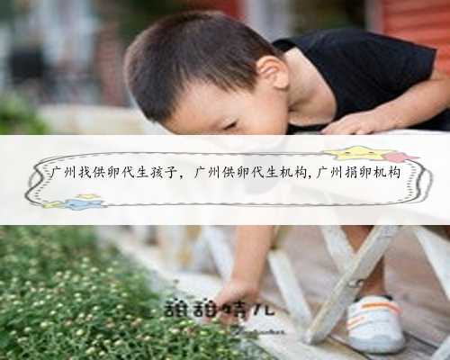 广州找供卵代生孩子，广州供卵代生机构,广州捐卵机构