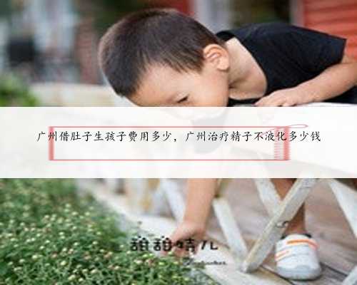 广州借肚子生孩子费用多少，广州治疗精子不液化多少钱