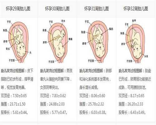 广州代孕首选网站,广州试管婴儿借卵像妈还是像