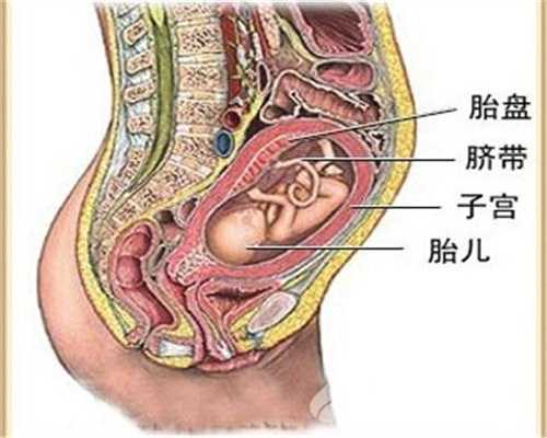 广州代孕中介公司#先天性输卵管过长怎么办