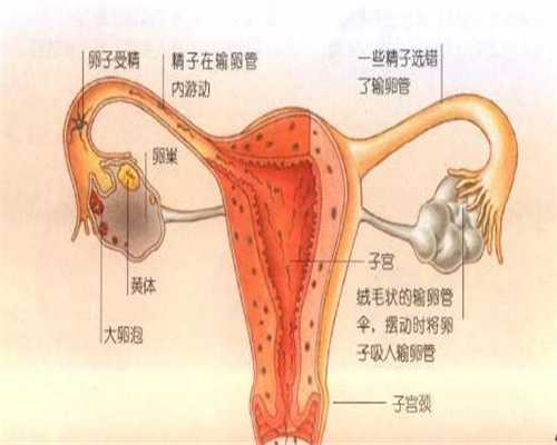 女性患上输卵管炎症的原因是什么