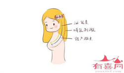 广州代孕价格-广州做代孕的价格-验孕棒呈阳性有几种可能