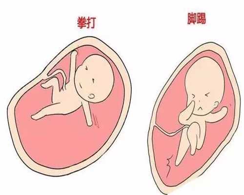 广州借卵借腹生子，生三胎高考加分是真的吗？有生三胎高考加分政策吗？