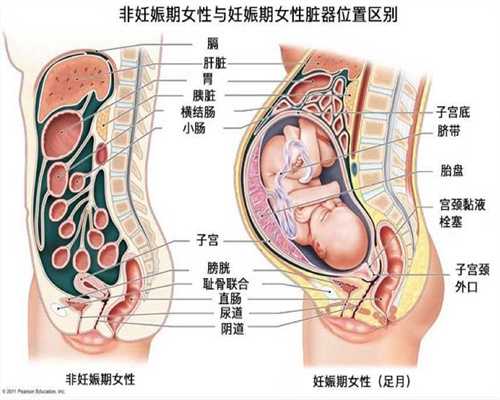 广州最好的供卵医院，儿童换牙期间注意事项，儿童换牙期饮食护理