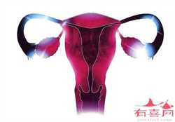广州代怀机构~广州供卵代生机构~，孕26周胎儿是坐着的吗