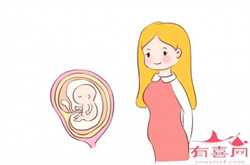 供卵试管机构哪么多，孕妇DHA什么时候吃最好孕妇吃什么牌子的dha好