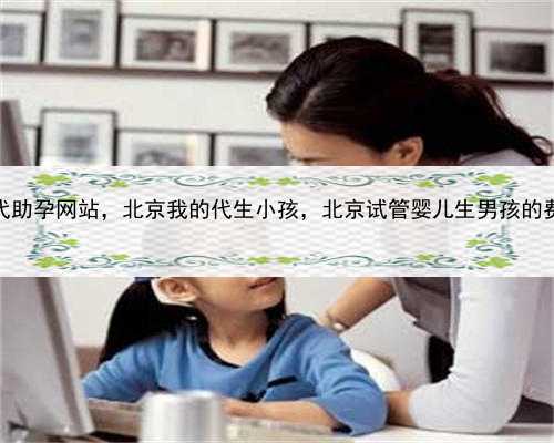 代孕公司代助孕网站，北京我的代生小孩，北京试管婴儿生男孩的费用是多少